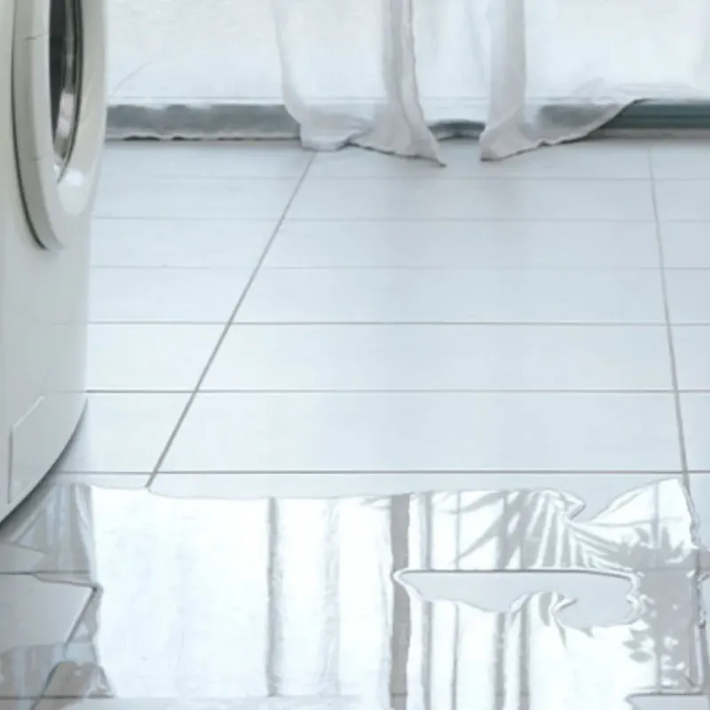 Appliance Leak Cleanup in Bath, MI