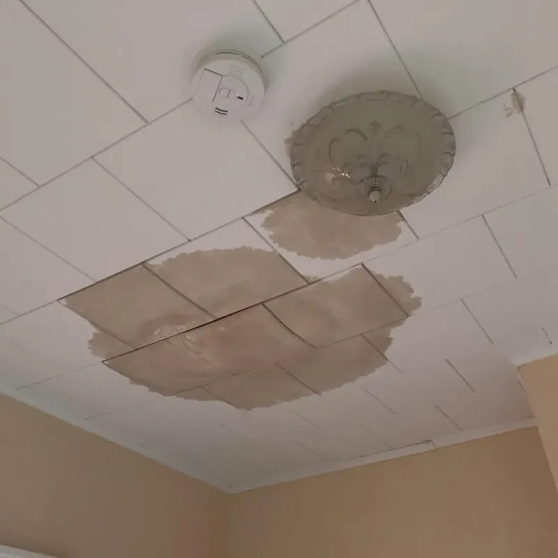 Ceiling Water Damage Repair in Bath, MI