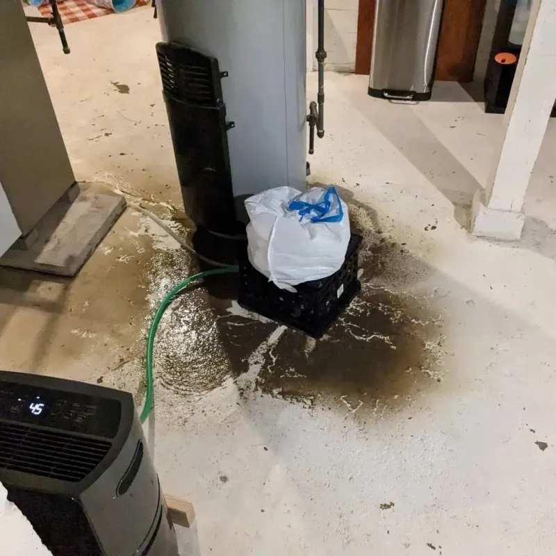 Sewage Backup Cleanup Service in Bath, MI